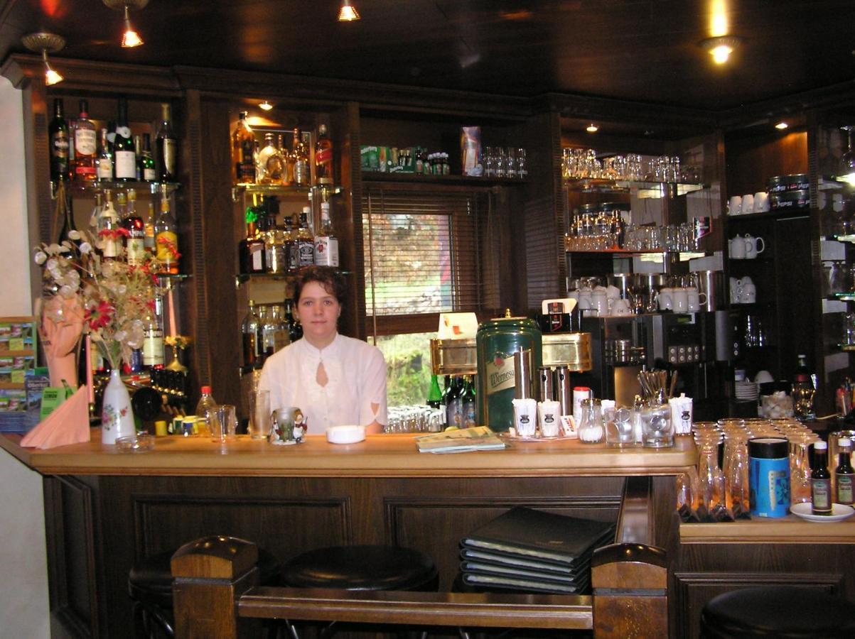 Hotel&gasthaus Sterngrund Hotel Zella-Mehlis