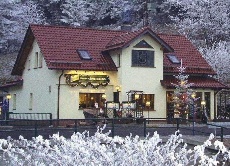 Hotel&gasthaus Sterngrund Hotel
